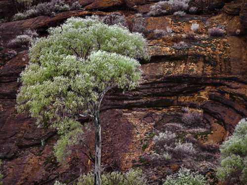 Gorge in colour